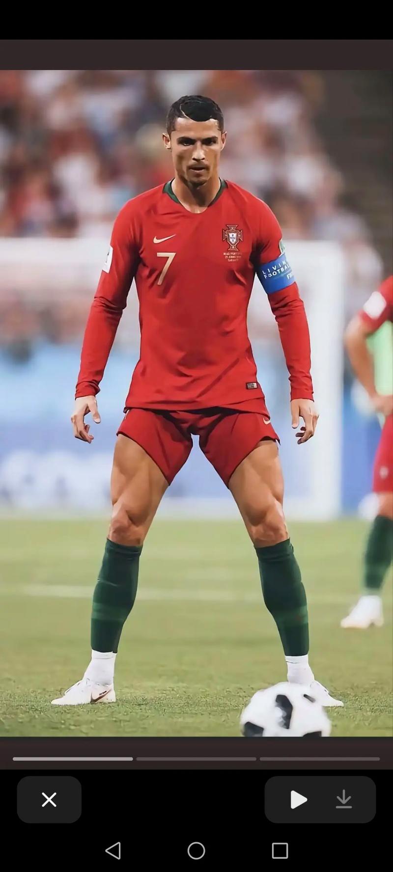 就地压